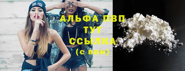 стаф Абинск