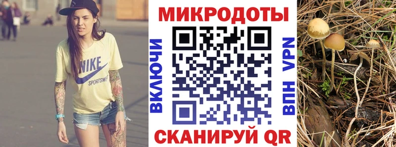 Псилоцибиновые грибы прущие грибы хочу наркоту Калачинск